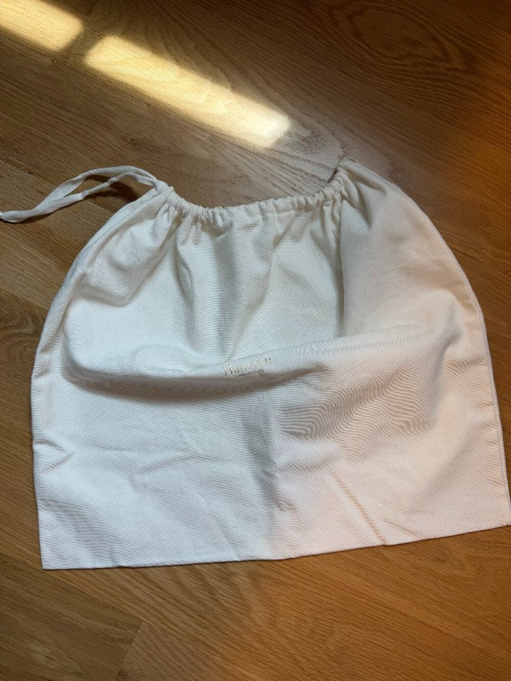 NWOT Hammitt Dustbag